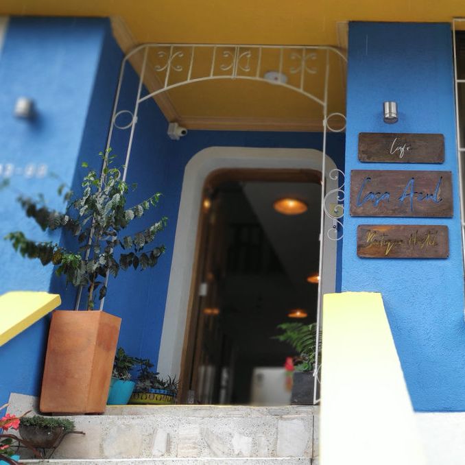 Entrada en lo alto de la escalera: pared azul, puerta en arco, matas en materas y reja blanca.